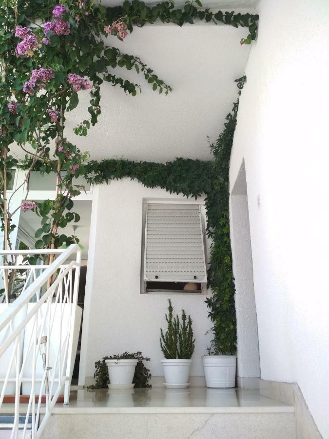 Apartmani Carević Baška Voda Zewnętrze zdjęcie